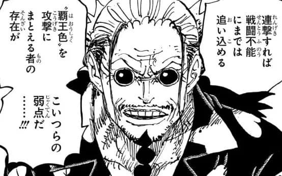 【悲報】ワンピース最終章、覇王色持ち以外ゴミ確定