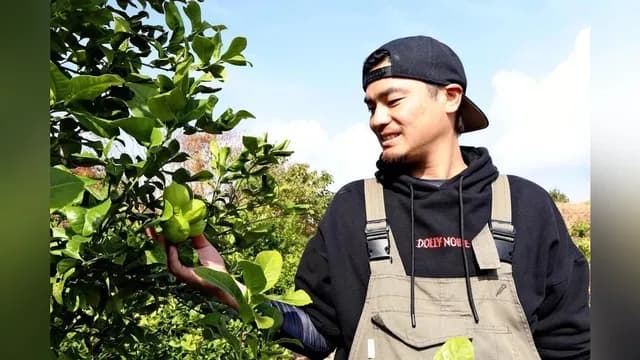 元カープ戸田のレモンが初収穫される見込み。予定は今年の10月「待ってくれている人に届けたい」