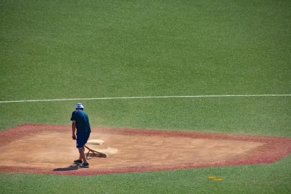 アメリカの人気スポーツ　野球が4位にランクイン