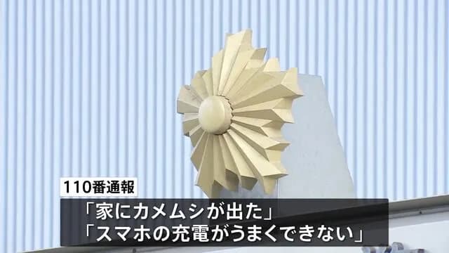 警察庁「カメムシが出た、スマホの充電ができないとかで110番しないでください」