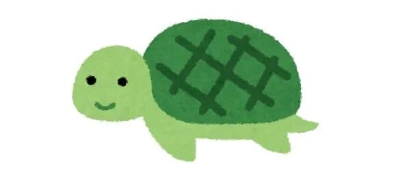 亀のキャラ←なに思い浮かべた？