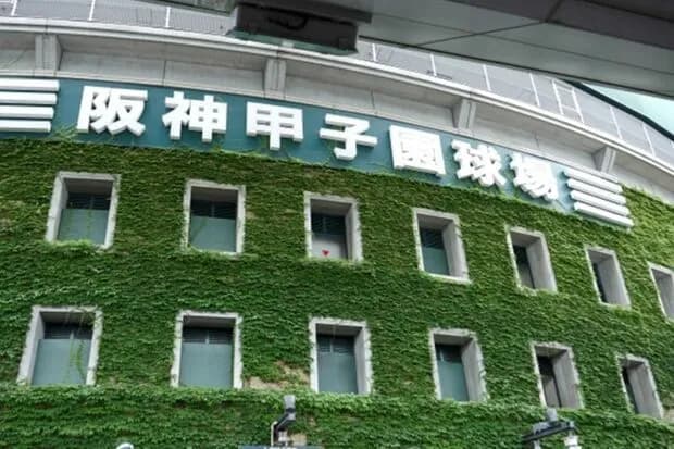 阪神・甲子園がチケット難も《外国人専用席》増設へ　虎ファン「終わってる」と大激怒！