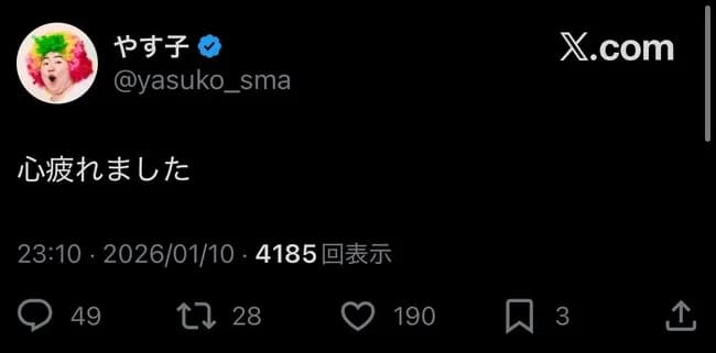 【悲報】やす子「心疲れました」