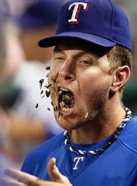 メジャーではひまわりの種食べてる人多いけど日本では全然見ないのなんでなんやろね