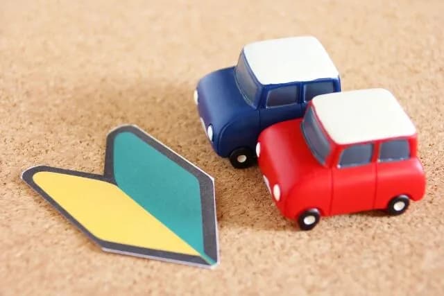 ペーパー「運転は怖いし一生電車とバスでいい」←ほんまにええんか？