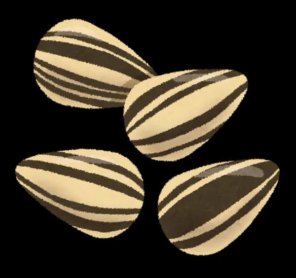 メジャーではひまわりの種食べてる人多いけど日本では全然見ないのなんでなんやろね