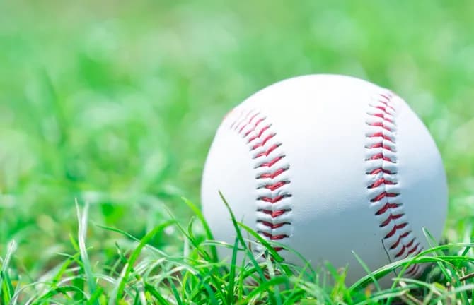 今後のプロ野球選手、NPBで億稼いで知名度上げてポスティングで25歳以上でMLBが最も稼ぐ方法に