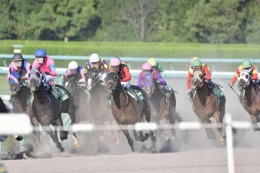 【急募】競馬を辞めるため、日曜に身動きを取れなくする方法ｗｗｗｗｗｗｗｗｗｗｗｗｗｗｗｗ