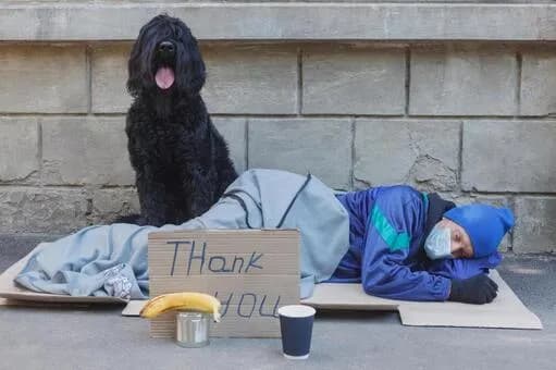 【疑問】ホームレスって何で生活保護貰わないんや？ｗｗｗｗｗｗｗｗｗｗｗｗｗｗｗｗ