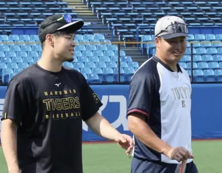 ぶっちゃけ佐藤輝明よりヤクルト村上の方が格上扱いなのがちょっと不思議ではある