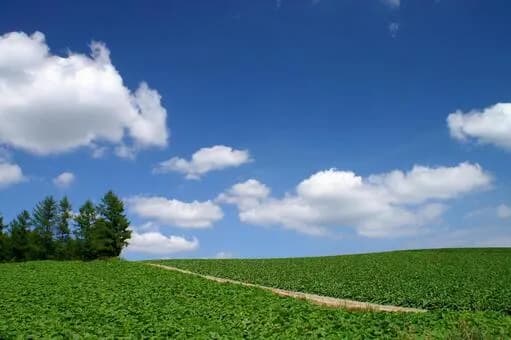 【朗報】ワイさん、老後は北海道に住みたいｗｗｗｗｗｗｗｗｗｗｗｗｗｗｗｗ