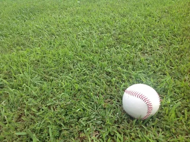 プロ野球選手に35歳定年をもうけるべき