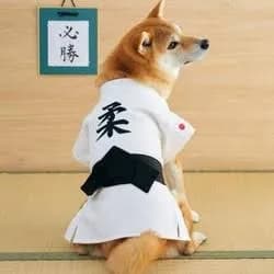 なんでもいいから画像を貼っていけ