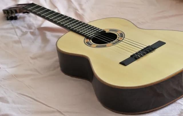 ギターの才能ないのにギター自体は好きだし耳だけは良いから高いの使ってる