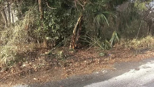 【悲報】また連続不審火か…防犯カメラに不審人物　栃木がカオスシティになる