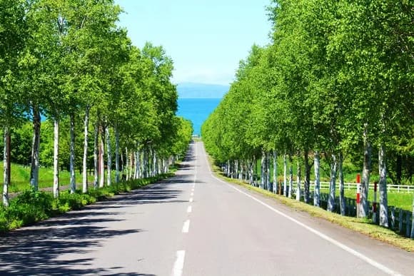 【唖然】八雲町「隅研吾デザイン監修の設計費19000万円払ったら建設費が無くなった…無念！」