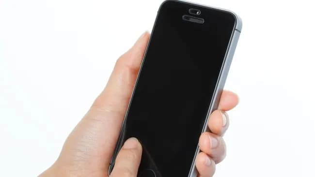 永野、卒業を決意ｗｗｗｗｗｗｗｗｗｗ