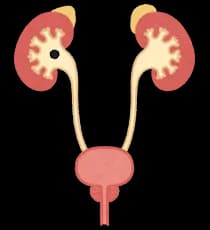 尿管結石になったことあるやつwww