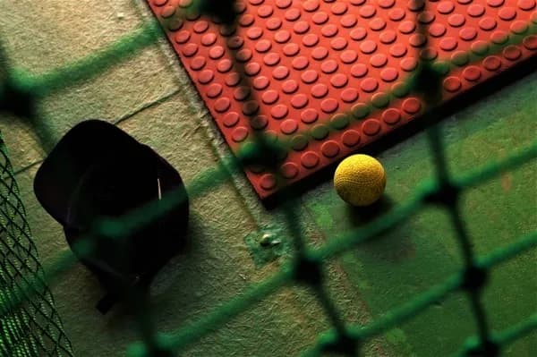 奄美唯一のバッティングセンターが危機、支援募る「サッカーやバスケで野球人口減った」