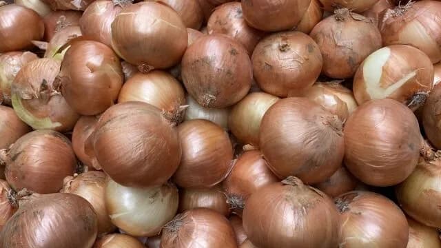 【急募】玉ねぎ72キロの処理方法