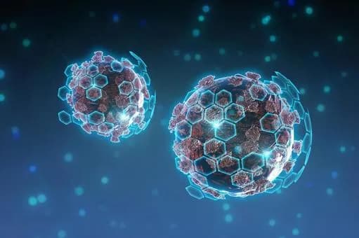 【急募】今考えると「ちょっとおかしいな」って思うコロナ禍の出来事ｗｗｗｗｗｗｗｗｗｗｗｗｗｗｗｗ