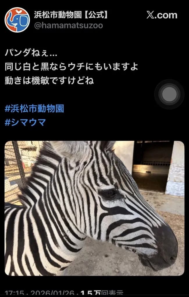 【画像】浜松市動物園「白と黒の動物はパンダだけじゃありません シマウマもいますよ」→謝罪へ………