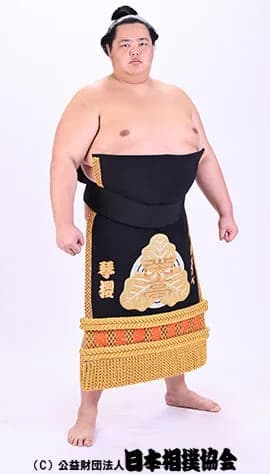 琴櫻（令和6年11月）「14勝1敗で優勝したぞ！」周囲「うおおおお！横綱待ったなし！」