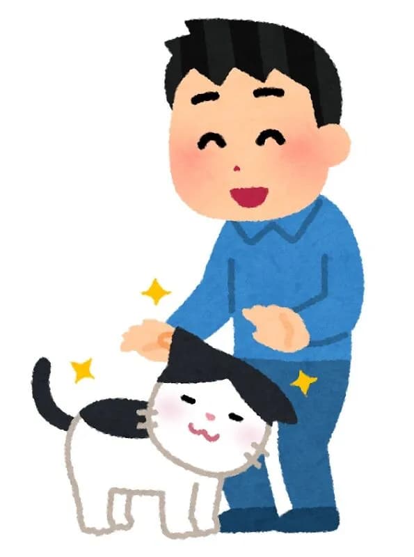 猫がワイに懐いた結果ｗｗｗｗｗｗｗｗｗｗｗｗｗｗｗｗ