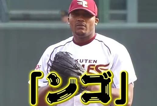 日本ハム、今季スローガンは『ドミれ！』