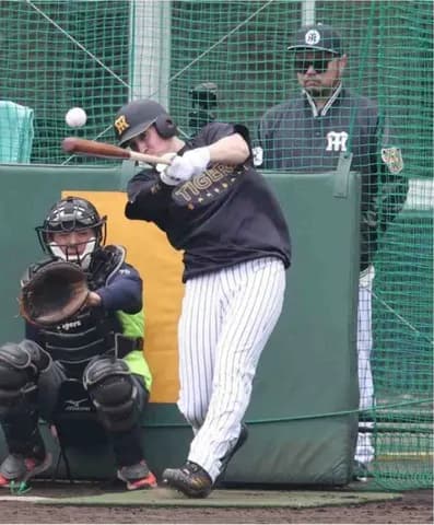 【阪神】新助っ人のディベイニーが２日連続ランチ特打　アーチを放ちファンにお辞儀をする場面も