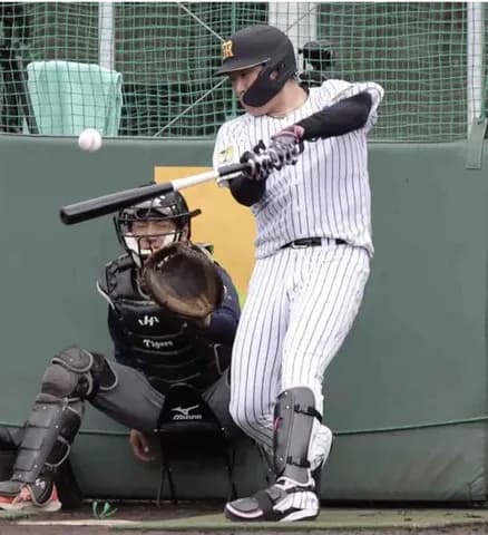 【阪神】大山悠輔がランチ特打で７２スイング１５発…巨人・萩原哲スコアラーが警戒「振れていますね」