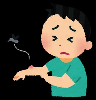 【画像】虫に噛まれたっぽいんやが…