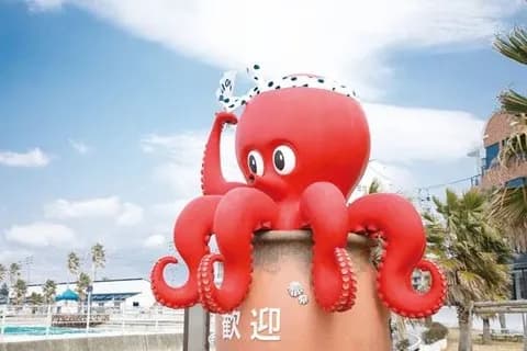 【悲報】タコさん、砂浜を軽快に歩いてしまうwwwwwwwwwwwwwwwww