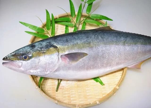 養殖のほうが美味いモノってある？