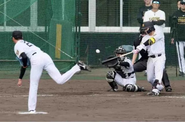 【阪神】浜田太貴が今朝丸撃ち　右翼にチーム1号！　現ドラでヤクルトから加入　打撃で猛アピール