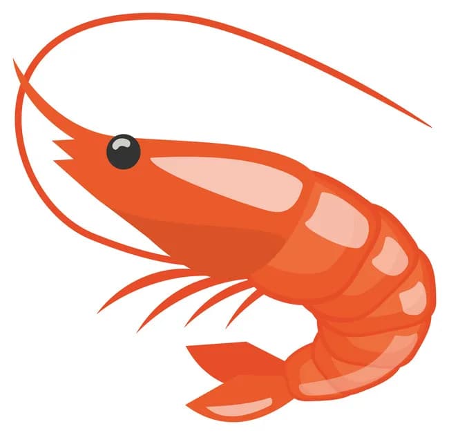 🦐って気持ち悪いよな？