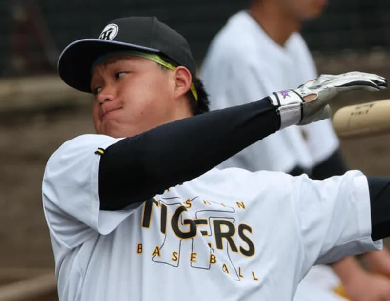 今年は森下と佐藤輝で80本超えそうだな