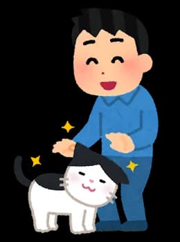 餌あげる以外で野良猫と仲良くなる方法