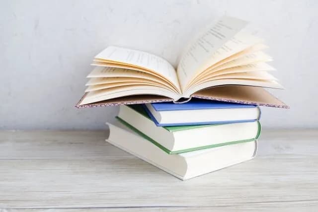 読書ってそれを書いたやつの世界観を知ることなんやな