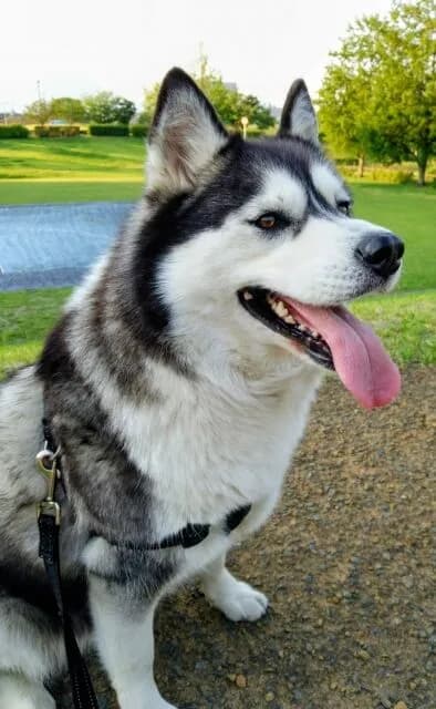 最近そいえば流行ってないなってものwwwwwwwwwwwwwwwwwwwwwwwwwww