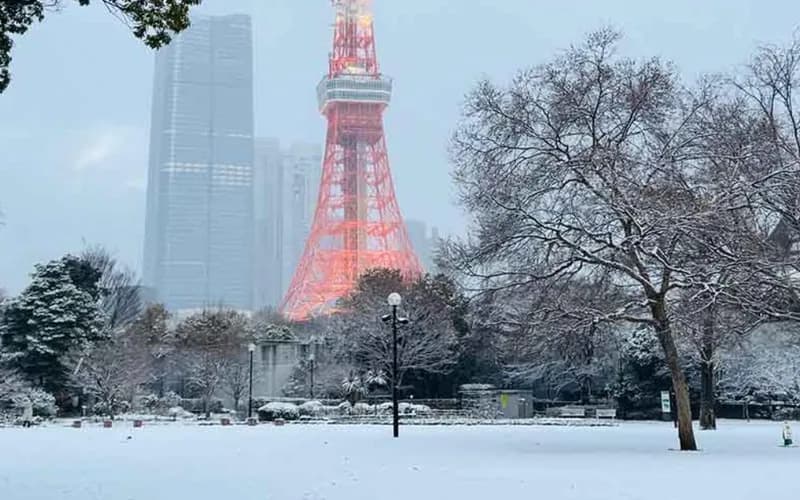 【悲報】東京で積雪5cm