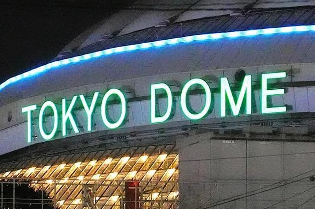 ヤクザさん巨人戦を観戦して逮捕ｗｗｗｗｗｗ