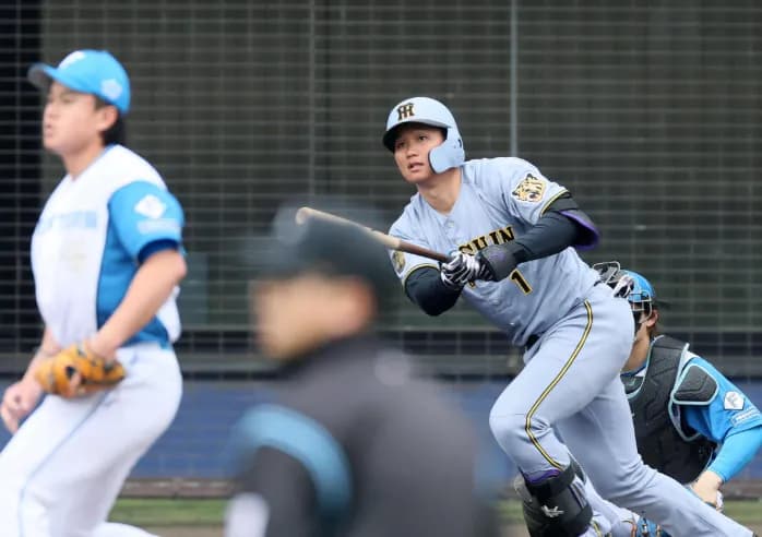 森下センター近本ライトってどうなんや？