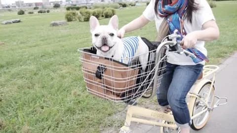 チャリーヌ、見つかる