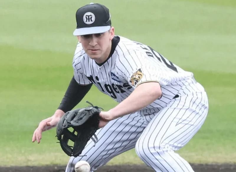 虎ファンのディベイニ－への評価、厳しすぎる