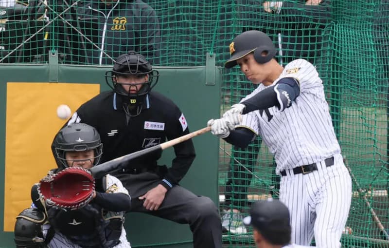 岡城『元ショートで大学3年生からセンターです』←守備は期待できるんか？