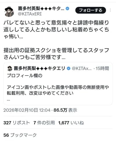 【悲報】喜多村英梨さん、誹謗中傷されていた