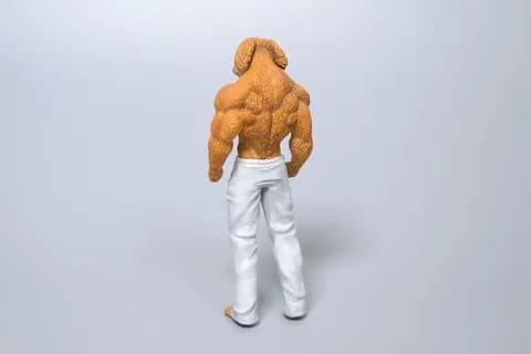 新たなムキムキーヌ、現る