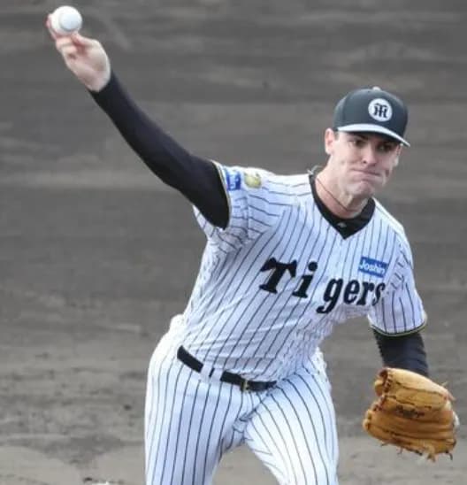 虎ファン、ラグズデールに期待　『パワプロみたいなカーブ投げる』