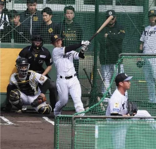 阪神ドラ2谷端将伍 実戦形式でパンチ力発揮「自分の間で打てている」対桐敷3打席で安打性2本
